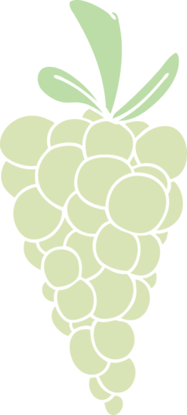 Bir insan tarafından çizilmiş garip bir üzüm demeti.