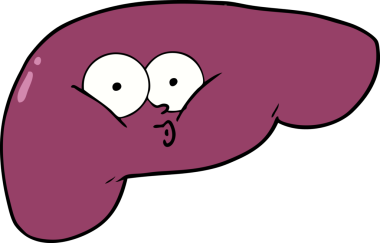 Bir insan tarafından çizilmiş karaciğer.