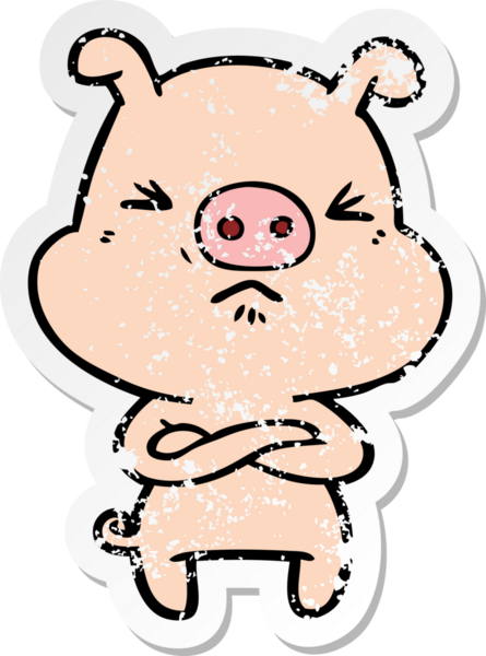 Bir insan tarafından çizilmiş kızgın bir domuzun sıkıntılı çıkartması.