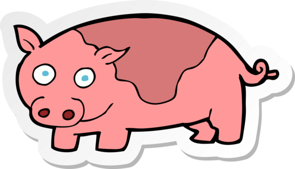 Bir insan tarafından çizilmiş bir domuzun çıkartması.