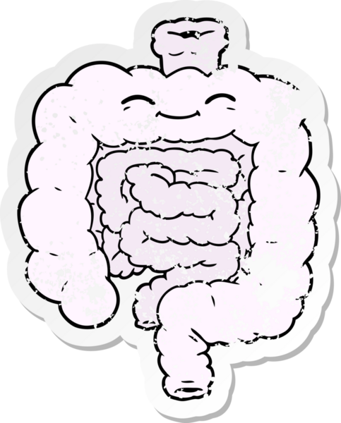 Bir insan tarafından çizilmiş karikatür bağırsağının sıkıntılı etiketi.