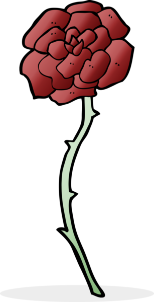 Bir insan tarafından çizilmiş gül dövmesi.