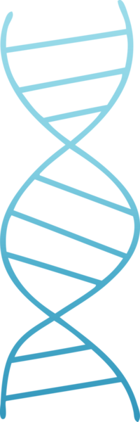 Bir insan tarafından çizilen DNA iplikçiklerinin gölgeli çizimi