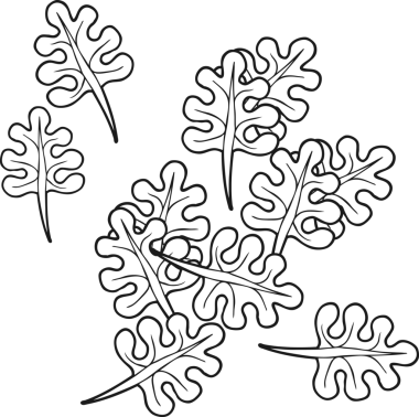 Bir insan tarafından çizilmiş serbest çizim siyah beyaz çizgi film yaprakları