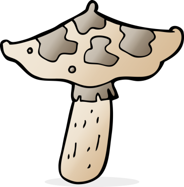 Bir insan tarafından çizilmiş mantar taburesi.