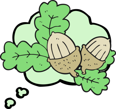 Düşünce baloncuğu meşe palamudu ve yaprakları bir insan tarafından çizildi.