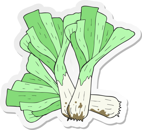 Bir insan tarafından çizilmiş pırasa çizgi film etiketi.