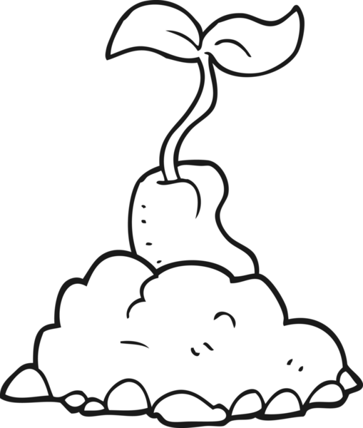 Bir insan tarafından çizilmiş siyah-beyaz filizlenen tohum.