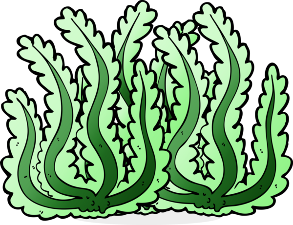 Bir insan tarafından çizilmiş karton deniz yosunu.