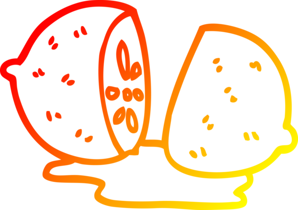 Bir insan tarafından çizilmiş dilimlenmiş limon çizimi.