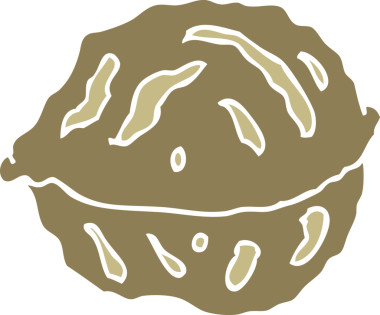 Bir insan tarafından çizilmiş ceviz kabuğunun düz renk çizimi