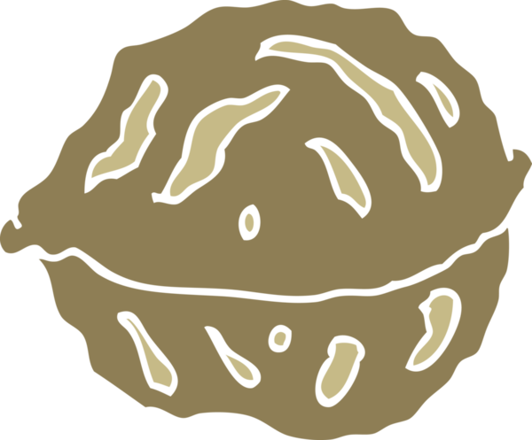 Bir insan tarafından çizilmiş ceviz kabuğunun düz renk çizimi