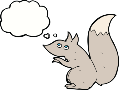 Bir insan tarafından çizilmiş düşünce baloncuklu bir sincap.