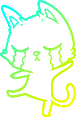 Ağlayan bir karikatür kedinin insan tarafından çizilmiş bir dans çizimi.