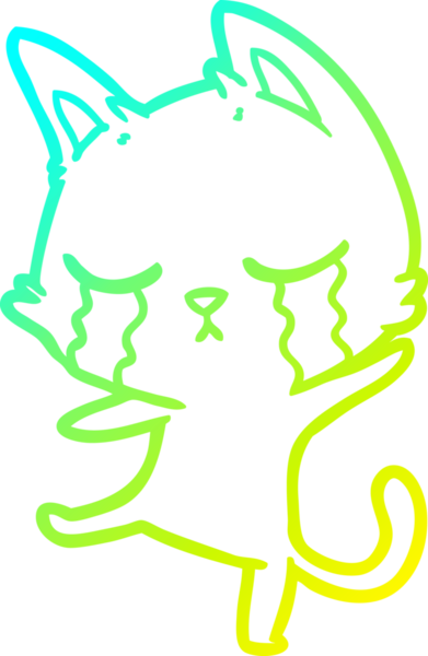 Ağlayan bir karikatür kedinin insan tarafından çizilmiş bir dans çizimi.