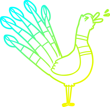 Bir insan tarafından çizilmiş, karikatür çizen tavus kuşu.