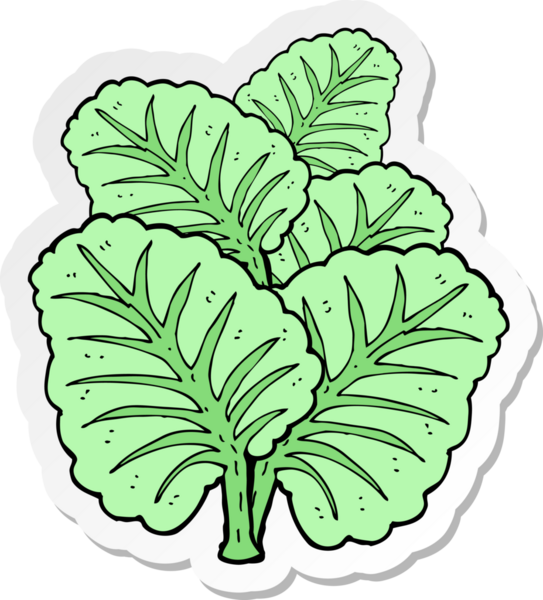 Bir insan tarafından çizilmiş lahana yapraklarının çıkartması.