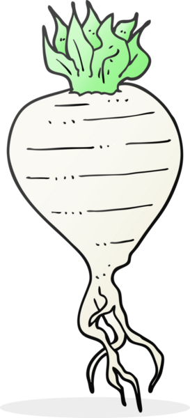 Bir insan tarafından çizilmiş şalgam karikatürü.