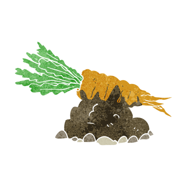 Bir insan tarafından çizilmiş serbest çizilmiş havuç.