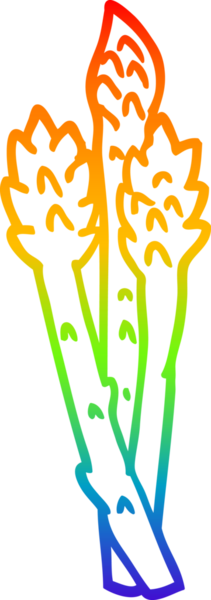 Bir insan tarafından çizilmiş kuşkonmaz çizgi çizimi.