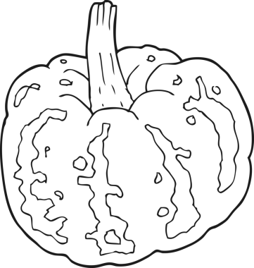 Bir insan tarafından çizilmiş kabak resmi.