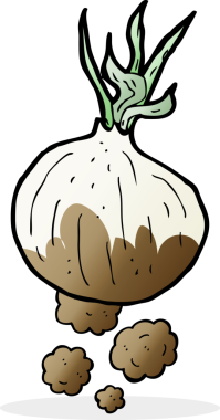 bir insan tarafından çizilmiş organik soğan karikatürü