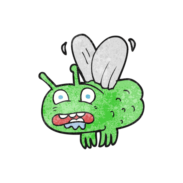 Bir insan tarafından çizilmiş el yapımı çizgi film sineği.