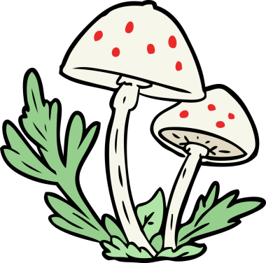 Bir insan tarafından çizilmiş vahşi mantarlar.