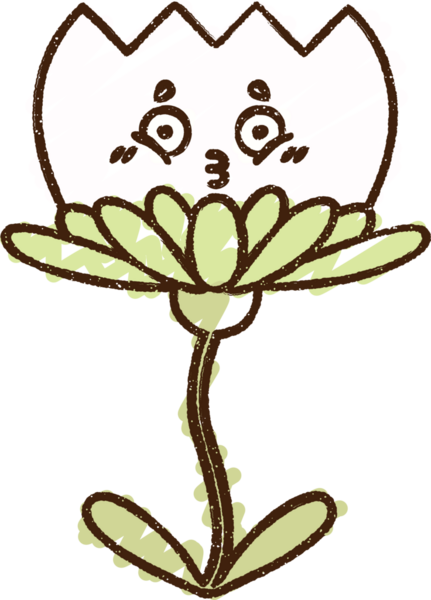 Bir insan tarafından çizilen çiçek tebeşiri