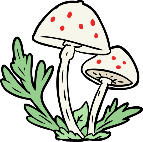 Bir insan tarafından çizilmiş vahşi mantarlar.