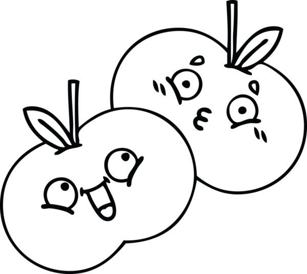 Bir insan tarafından çizilmiş elmaların çizgi çizimi