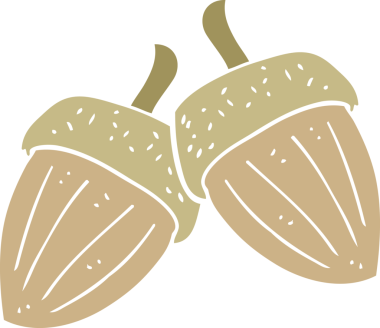 Bir insan tarafından çizilen palamutların düz renk çizimi