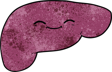 Bir insan tarafından çizilmiş karaciğer.