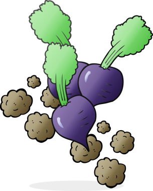 Bir insan tarafından çizilmiş pancar pancarı.