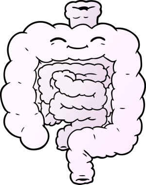 Bir insan tarafından çizilmiş karikatür bağırsakları.