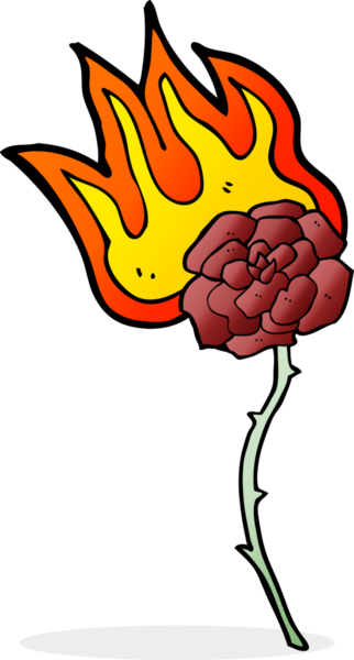 Bir insan tarafından çizilmiş yanan bir gül.