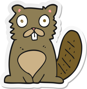 Bir insan tarafından çizilmiş bir kunduzun çıkartması.