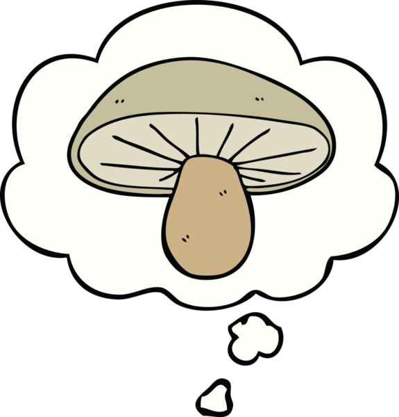 Bir insan tarafından çizilmiş düşünce baloncuklu mantar.