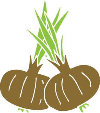 Bir insan tarafından çizilmiş karalama kahverengi soğanlar.