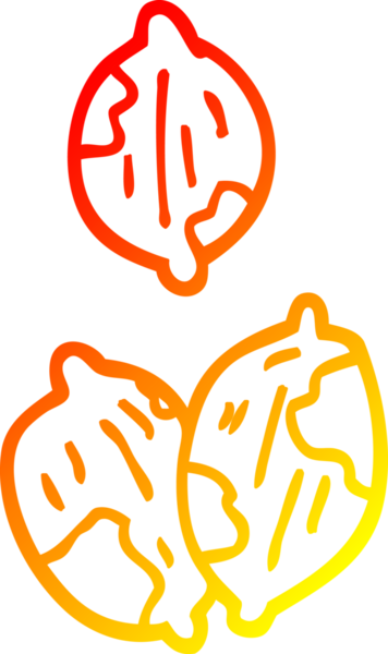 Bir insan tarafından çizilmiş kabuklu bir çizgi fındık.