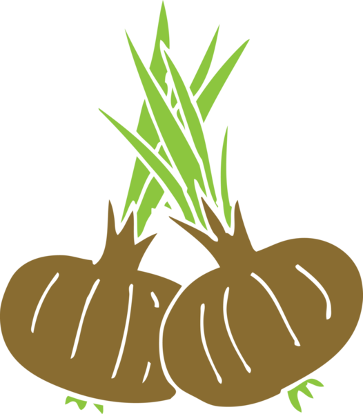 Bir insan tarafından çizilmiş karalama kahverengi soğanlar.