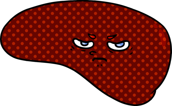 Bir insan tarafından çizilmiş karaciğer.