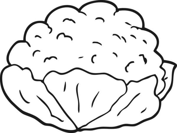 Bir insan tarafından çizilmiş siyah-beyaz karikatür karnabaharı