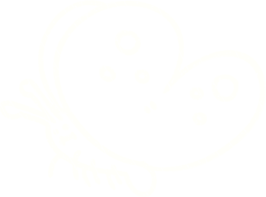 Bir insan tarafından çizilen Kelebek Tebeşiri