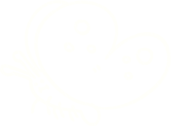 Bir insan tarafından çizilen Kelebek Tebeşiri