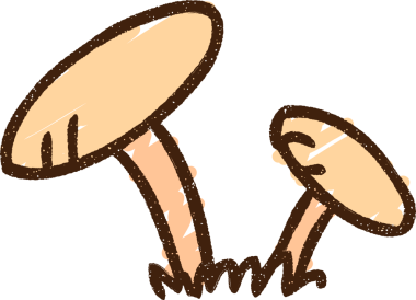 Bir insan tarafından çizilmiş mantar tebeşiri.