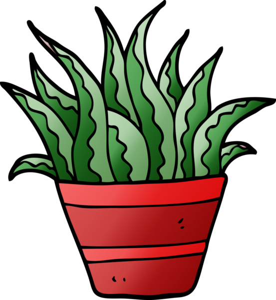 Bir insan tarafından çizilmiş karalama evi bitkisi.