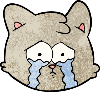 Bir insan tarafından çizilmiş karikatür kedi yüzü.