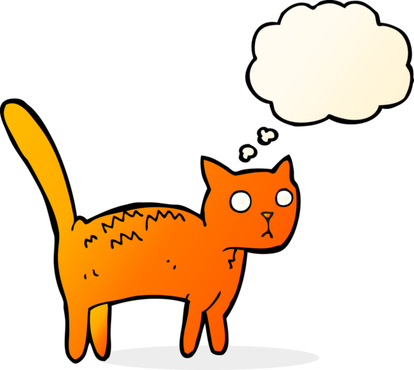 Bir insan tarafından çizilmiş düşünce balonlu korkmuş kedi çizgi filmi.