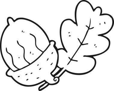 Bir insan tarafından çizilmiş siyah beyaz palamut.